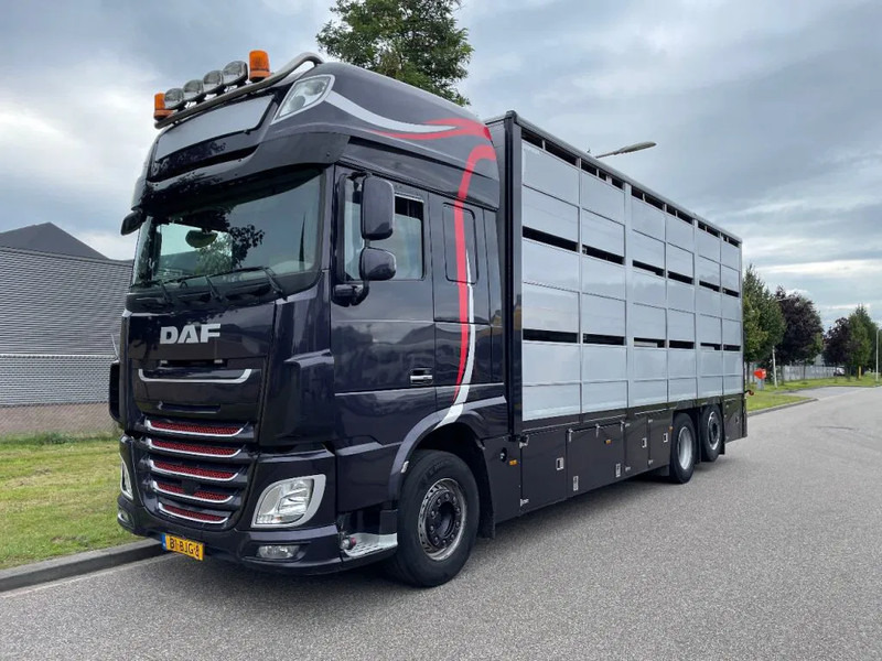 DAF XF 460 2017 berdex 3 lagen varkens - Állatszállító teherautó: 1 kép. DAF XF 460 2017 berdex 3 lagen varkens - Állatszállító teherautó: 1 kép.