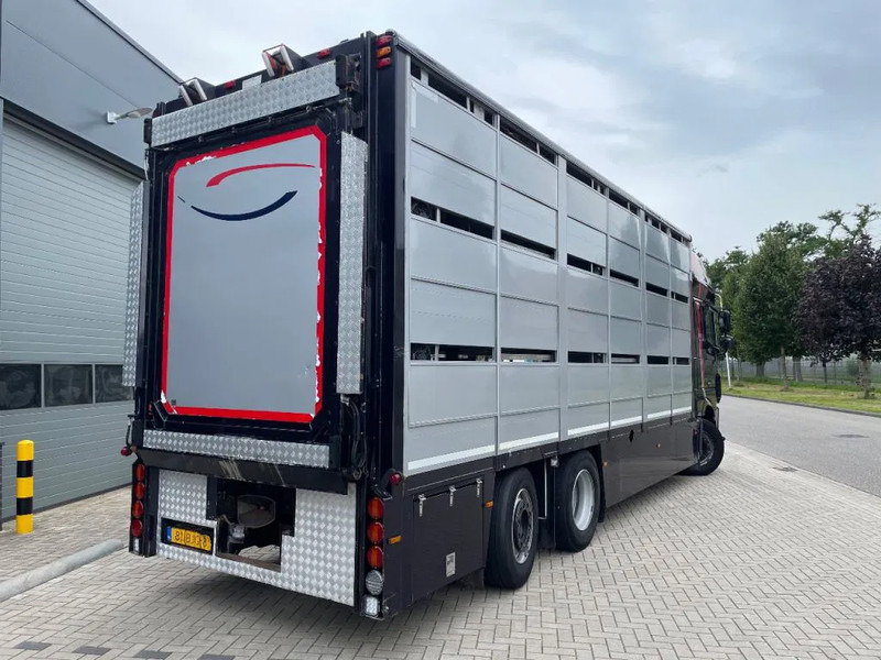 Állatszállító teherautó DAF XF 460 2017 berdex 3 lagen varkens: 8 kép.