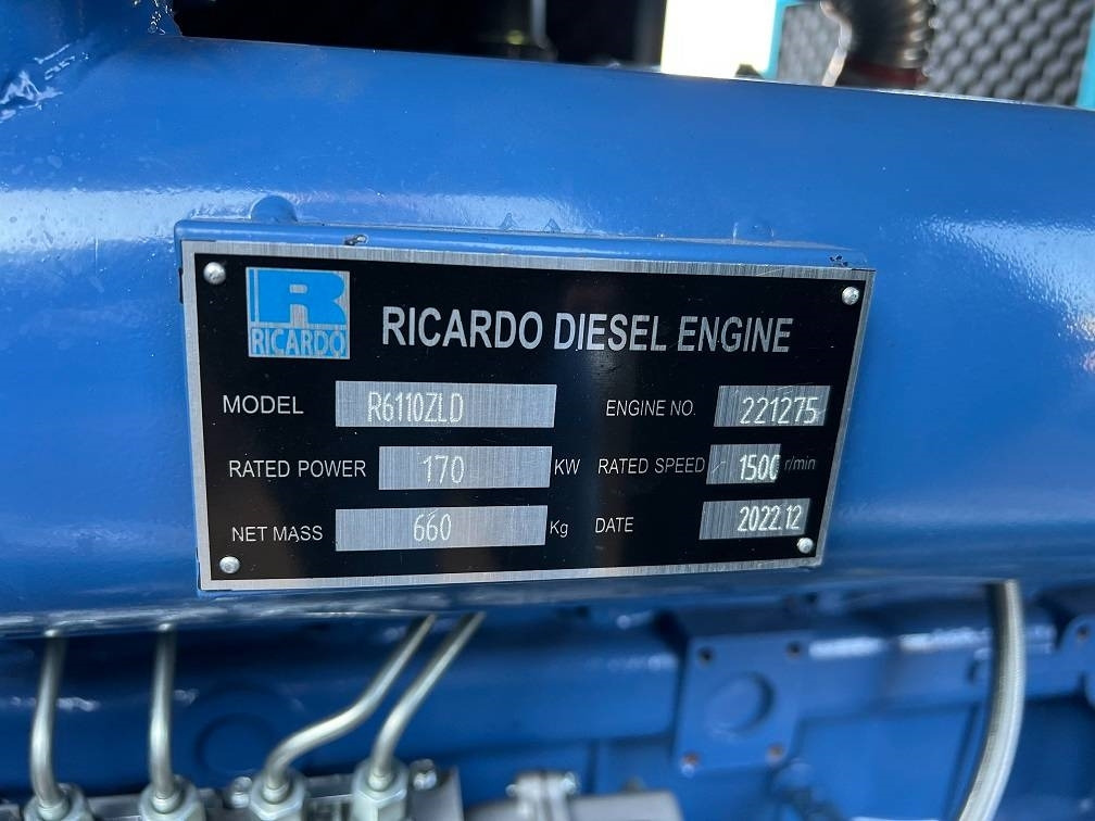 Új Áramfejlesztő Ricardo 200KVA (160KW) SILENT GENERATOR 3 PHASE 50HZ 400V: 8 kép.