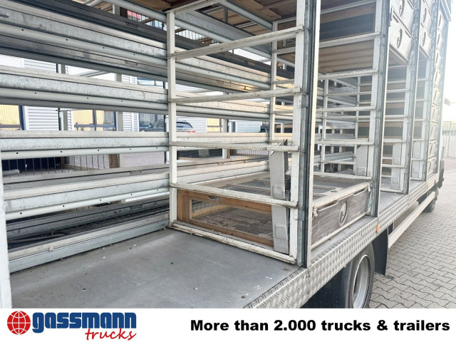 Mercedes-Benz LK 817 4x2, Taubentransporter - Dobozos felépítményű teherautó: 2 kép. Mercedes-Benz LK 817 4x2, Taubentransporter - Dobozos felépítményű teherautó: 2 kép.