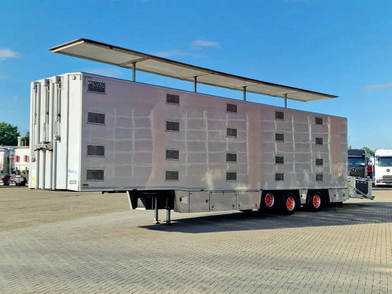 Berdex 2/3/4 deck Livestock trailer - Water & Ventilation - Loadlift - Lifting roof - Steering axle - Félpótkocsi állatszállító: 3 kép. Berdex 2/3/4 deck Livestock trailer - Water & Ventilation - Loadlift - Lifting roof - Steering axle - Félpótkocsi állatszállító: 3 kép.