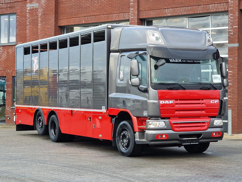 DAF CF 360 SpaceCab 6x2*4 - Menke Janzen Livestock 1 deck 20.78M2 - Steering axle - Euro 5 - Állatszállító teherautó: 2 kép. DAF CF 360 SpaceCab 6x2*4 - Menke Janzen Livestock 1 deck 20.78M2 - Steering axle - Euro 5 - Állatszállító teherautó: 2 kép.