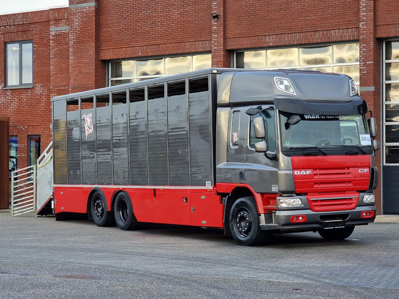DAF CF 360 SpaceCab 6x2*4 - Menke Janzen Livestock 1 deck 20.78M2 - Steering axle - Euro 5 - Állatszállító teherautó: 1 kép. DAF CF 360 SpaceCab 6x2*4 - Menke Janzen Livestock 1 deck 20.78M2 - Steering axle - Euro 5 - Állatszállító teherautó: 1 kép.