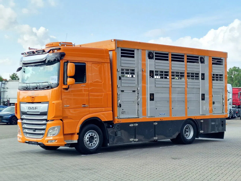 DAF XF 530 4x2 - Livestock Menke 2 deck water & ventilation - Állatszállító teherautó: 5 kép. DAF XF 530 4x2 - Livestock Menke 2 deck water & ventilation - Állatszállító teherautó: 5 kép.