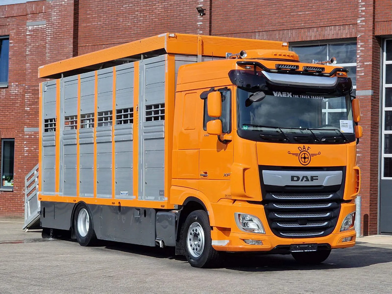 DAF XF 530 4x2 - Livestock Menke 2 deck water & ventilation - Állatszállító teherautó: 1 kép. DAF XF 530 4x2 - Livestock Menke 2 deck water & ventilation - Állatszállító teherautó: 1 kép.