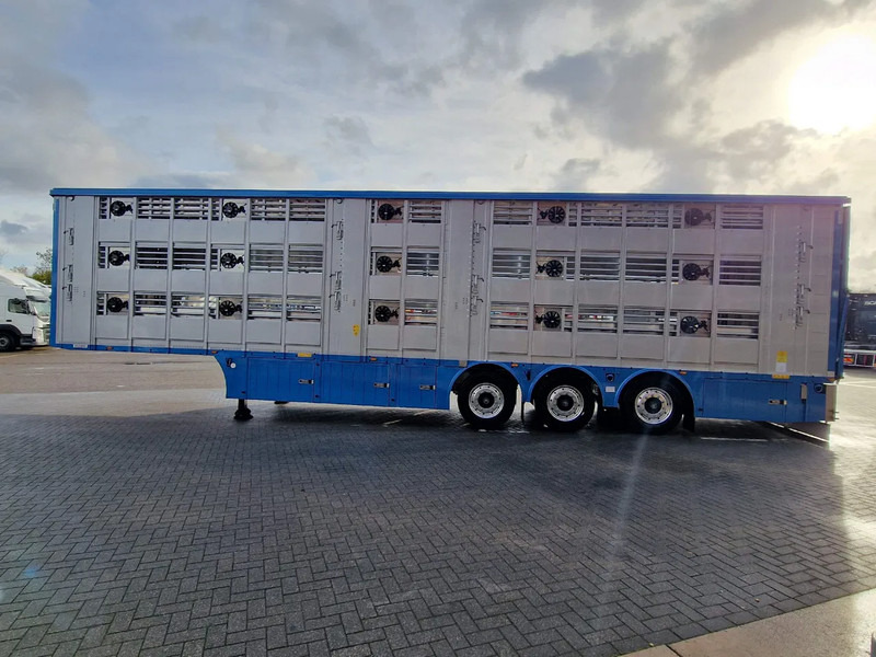Pezzaioli New 3 stock livestock trailer 95.4M2 - Water & Ventilation - Lifting floors - Lifting roof - Lift axle - Félpótkocsi állatszállító: 5 kép. Pezzaioli New 3 stock livestock trailer 95.4M2 - Water & Ventilation - Lifting floors - Lifting roof - Lift axle - Félpótkocsi állatszállító: 5 kép.