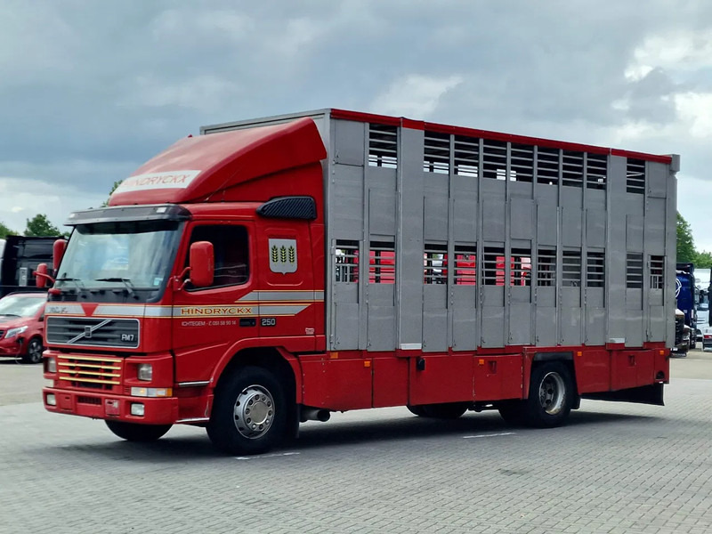 Volvo FM 250 4x- Livestock 2 deck - Lifting floors - Loadlift - Manual gearbox - Állatszállító teherautó: 3 kép. Volvo FM 250 4x- Livestock 2 deck - Lifting floors - Loadlift - Manual gearbox - Állatszállító teherautó: 3 kép.