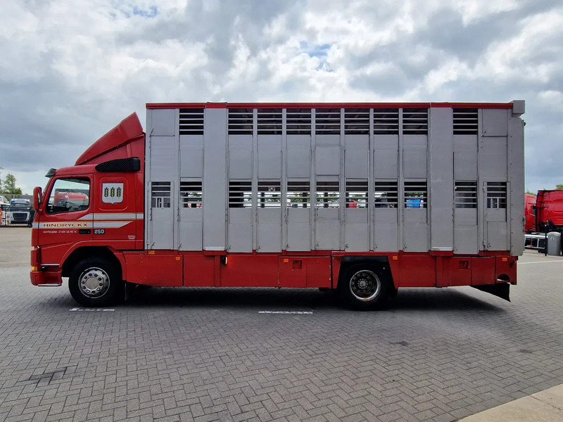 Volvo FM 250 4x- Livestock 2 deck - Lifting floors - Loadlift - Manual gearbox - Állatszállító teherautó: 4 kép. Volvo FM 250 4x- Livestock 2 deck - Lifting floors - Loadlift - Manual gearbox - Állatszállító teherautó: 4 kép.