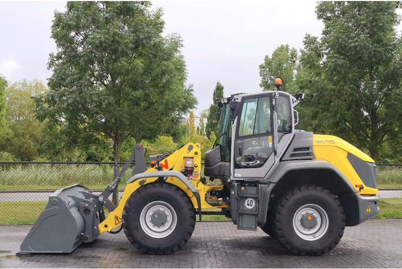 WACKER NEUSON WL95 | NEW - UNUSED | 40 KM/H | FULL OPTION! - Gumikerekes homlokrakodó: 1 kép. WACKER NEUSON WL95 | NEW - UNUSED | 40 KM/H | FULL OPTION! - Gumikerekes homlokrakodó: 1 kép.
