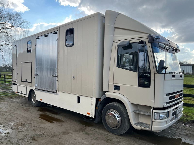 Iveco 120E18 - 3 HORSES - MANUAL - STEEL SUSPENSION - Dobozos kisteherautó: 2 kép. Iveco 120E18 - 3 HORSES - MANUAL - STEEL SUSPENSION - Dobozos kisteherautó: 2 kép.