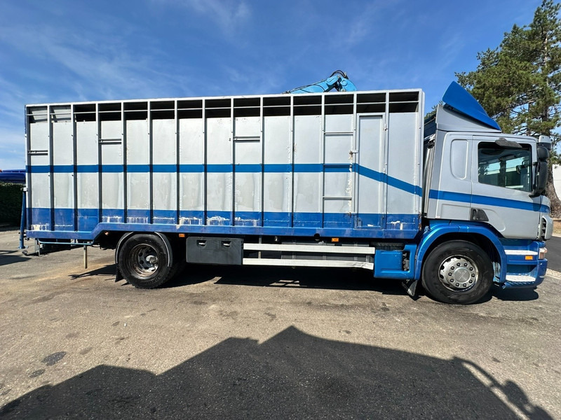 Scania P310 4x2 LIVESTOCK / VEEWAGEN / TIERTRANSPORT / BETAILLERE - ALU BOX 7m - MANUAL - A/C - BELGIAN TRUCK - Állatszállító teherautó: 4 kép. Scania P310 4x2 LIVESTOCK / VEEWAGEN / TIERTRANSPORT / BETAILLERE - ALU BOX 7m - MANUAL - A/C - BELGIAN TRUCK - Állatszállító teherautó: 4 kép.