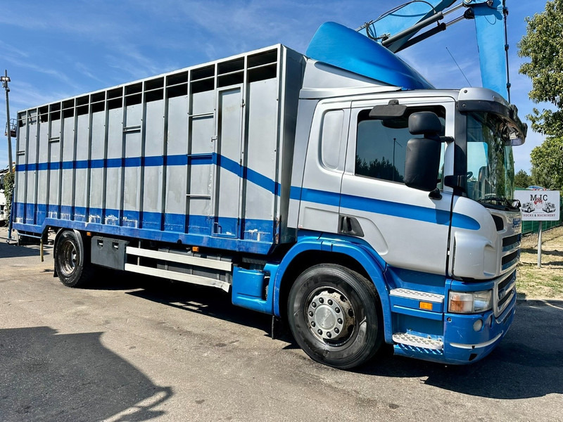 Scania P310 4x2 LIVESTOCK / VEEWAGEN / TIERTRANSPORT / BETAILLERE - ALU BOX 7m - MANUAL - A/C - BELGIAN TRUCK - Állatszállító teherautó: 1 kép. Scania P310 4x2 LIVESTOCK / VEEWAGEN / TIERTRANSPORT / BETAILLERE - ALU BOX 7m - MANUAL - A/C - BELGIAN TRUCK - Állatszállító teherautó: 1 kép.