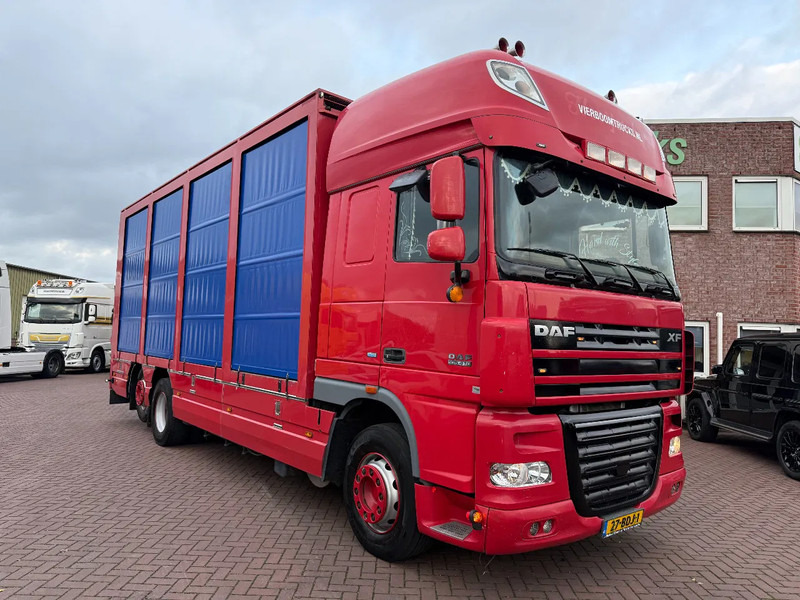 DAF XF105-410 6X FAR / Euro5-ATE / box with lift / NL- Truck - Ponyvás teherautó: 1 kép. DAF XF105-410 6X FAR / Euro5-ATE / box with lift / NL- Truck - Ponyvás teherautó: 1 kép.