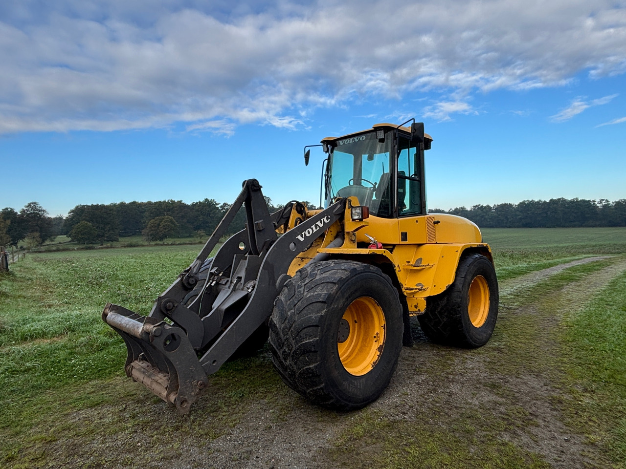 Volvo L45TP/S - Gumikerekes homlokrakodó: 1 kép. Volvo L45TP/S - Gumikerekes homlokrakodó: 1 kép.