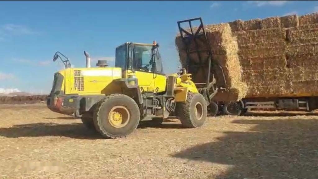 Galen Loader Bale Spear Attachment - Raklapvilla - Mezőgazdasági gépek: 4 kép. Galen Loader Bale Spear Attachment - Raklapvilla - Mezőgazdasági gépek: 4 kép.