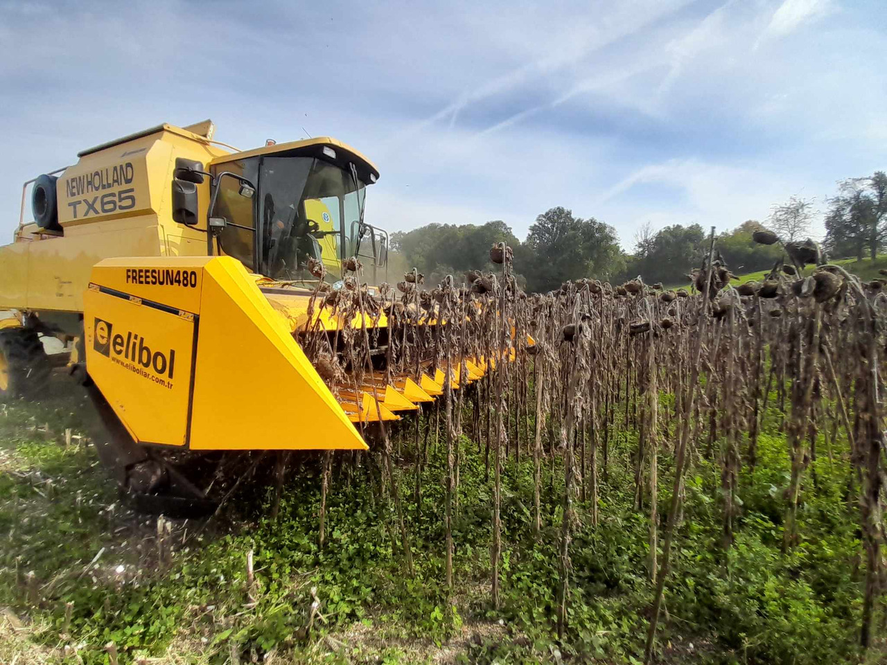ELİBOL FREESUN 480 ROW INDEPENDENT SUNFLOWER HEADER - Napraforgó adapter: 4 kép. ELİBOL FREESUN 480 ROW INDEPENDENT SUNFLOWER HEADER - Napraforgó adapter: 4 kép.