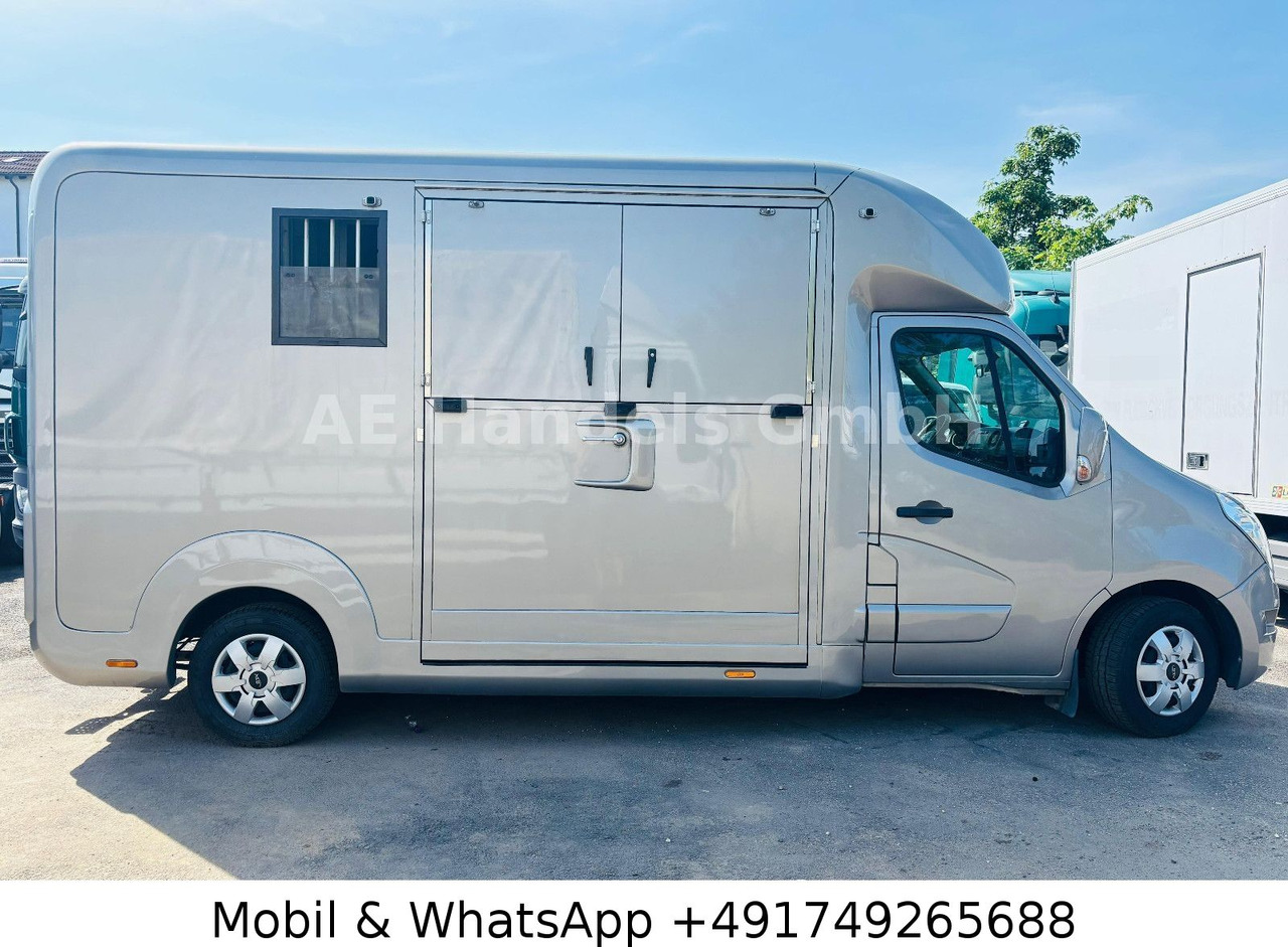 Renault Master STX Horsebox *Haras/2-Horses/3-Sitze - Lószállító utánfutó: 4 kép. Renault Master STX Horsebox *Haras/2-Horses/3-Sitze - Lószállító utánfutó: 4 kép.