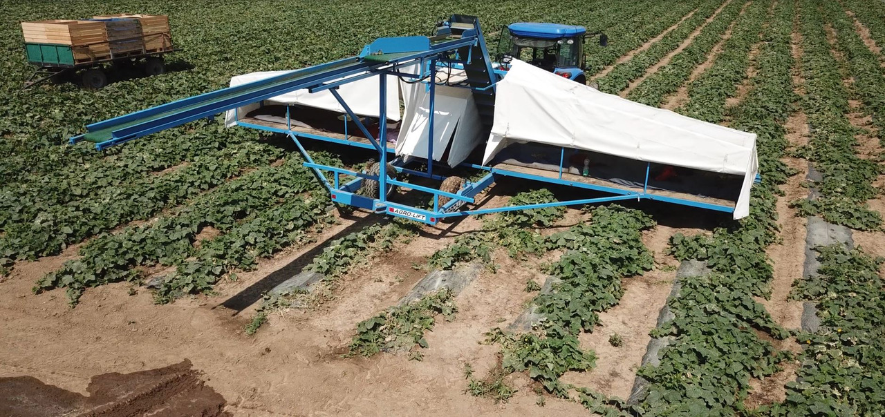 AGRO-LIFT Kombajn do ogórków - Betakarító gép: 3 kép. AGRO-LIFT Kombajn do ogórków - Betakarító gép: 3 kép.