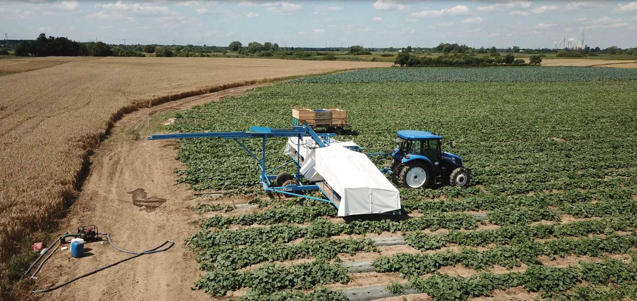 AGRO-LIFT Kombajn do ogórków - Betakarító gép: 5 kép. AGRO-LIFT Kombajn do ogórków - Betakarító gép: 5 kép.