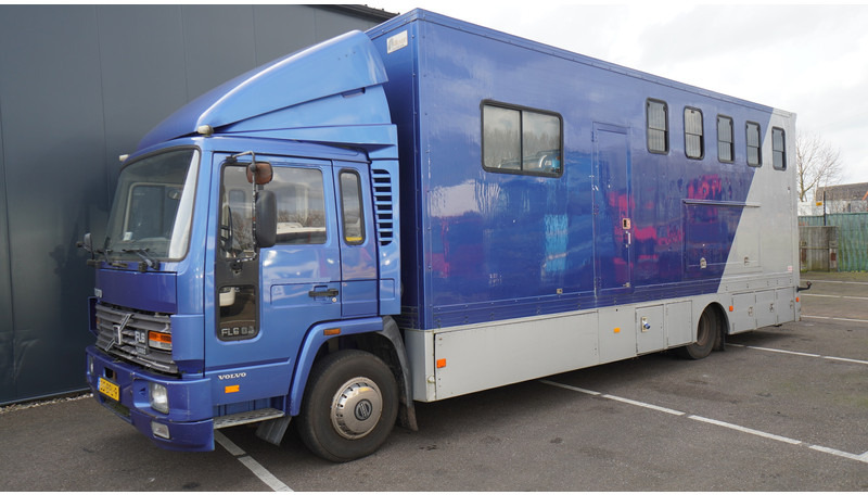 Volvo FL 6-9 HORSE TRANSPORT 341.000KM MANUAL GEARBOX - Lószállító kamion: 3 kép. Volvo FL 6-9 HORSE TRANSPORT 341.000KM MANUAL GEARBOX - Lószállító kamion: 3 kép.