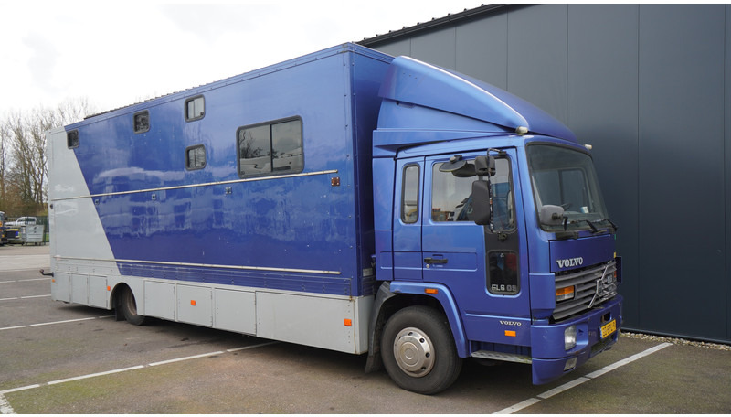 Volvo FL 6-9 HORSE TRANSPORT 341.000KM MANUAL GEARBOX - Lószállító kamion: 4 kép. Volvo FL 6-9 HORSE TRANSPORT 341.000KM MANUAL GEARBOX - Lószállító kamion: 4 kép.
