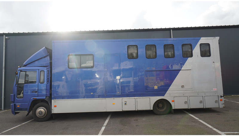 Volvo FL 6-9 HORSE TRANSPORT 341.000KM MANUAL GEARBOX - Lószállító kamion: 1 kép. Volvo FL 6-9 HORSE TRANSPORT 341.000KM MANUAL GEARBOX - Lószállító kamion: 1 kép.
