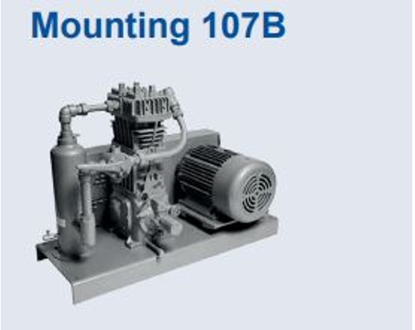 Új Légkompresszor Corken 691 Compressor (mounted) Base plate/107 A/107B GAS, LPG, GPL, AUTOGAS Corken LPG/NH3 compressors are designed to transfer liquefied gases such as butane/propane mixtures (liquefied petroleum gas or LP: 6 kép. Új Légkompresszor Corken 691 Compressor (mounted) Base plate/107 A/107B GAS, LPG, GPL, AUTOGAS Corken LPG/NH3 compressors are designed to transfer liquefied gases such as butane/propane mixtures (liquefied petroleum gas or LP: 6 kép.