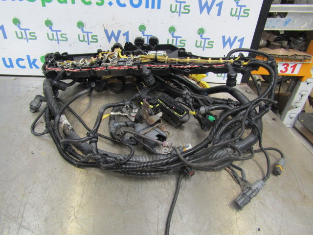 MAN TGM 340 DO836 FULL ENGINE WIRING HARNESS - Elektromos rendszer - Teherautó: 1 kép. MAN TGM 340 DO836 FULL ENGINE WIRING HARNESS - Elektromos rendszer - Teherautó: 1 kép.