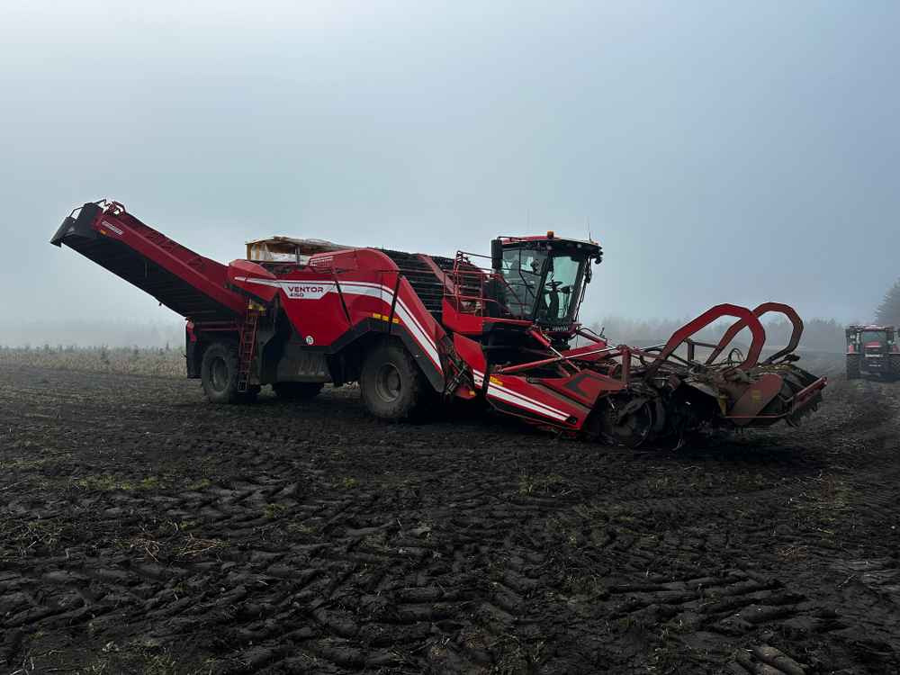 Grimme VENTOR 4150 ClodSep - Betakarító gép: 3 kép. Grimme VENTOR 4150 ClodSep - Betakarító gép: 3 kép.