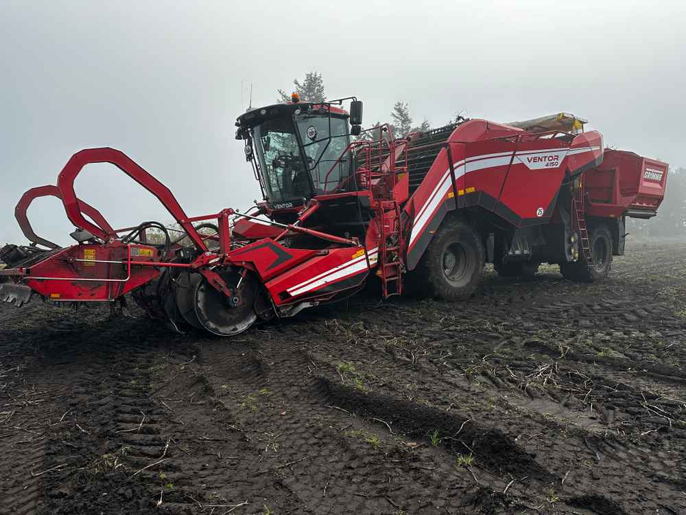 Grimme VENTOR 4150 ClodSep - Betakarító gép: 4 kép. Grimme VENTOR 4150 ClodSep - Betakarító gép: 4 kép.