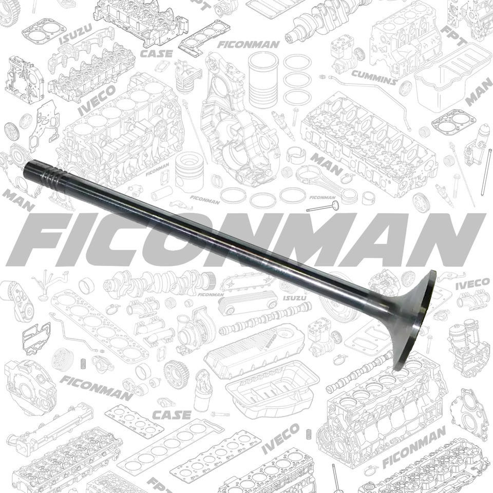 Ford Ford Trucks F-MAX ECOTORQ 9L Intake Valve 2C466507-CA ,T162806, 2C466507CA - Szelep - Teherautó: 2 kép. Ford Ford Trucks F-MAX ECOTORQ 9L Intake Valve 2C466507-CA ,T162806, 2C466507CA - Szelep - Teherautó: 2 kép.
