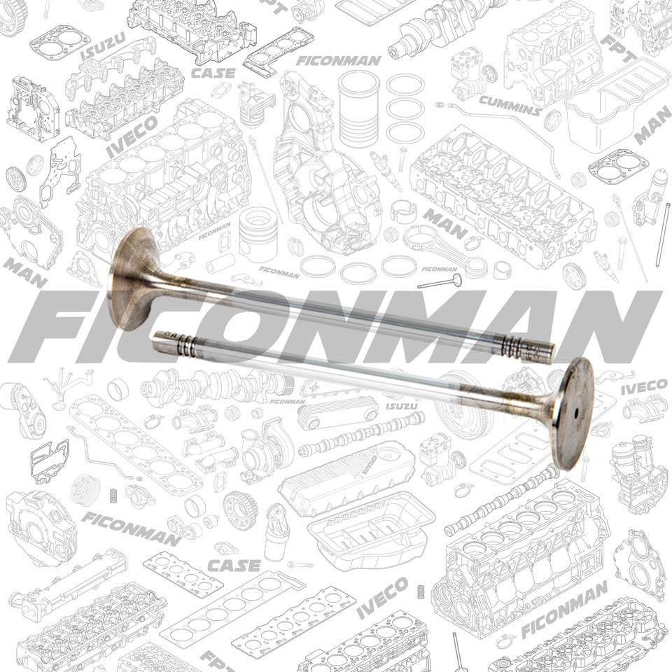 Ford Ford Trucks F-MAX ECOTORQ 9L Intake Valve 2C466507-CA ,T162806, 2C466507CA - Szelep - Teherautó: 1 kép. Ford Ford Trucks F-MAX ECOTORQ 9L Intake Valve 2C466507-CA ,T162806, 2C466507CA - Szelep - Teherautó: 1 kép.