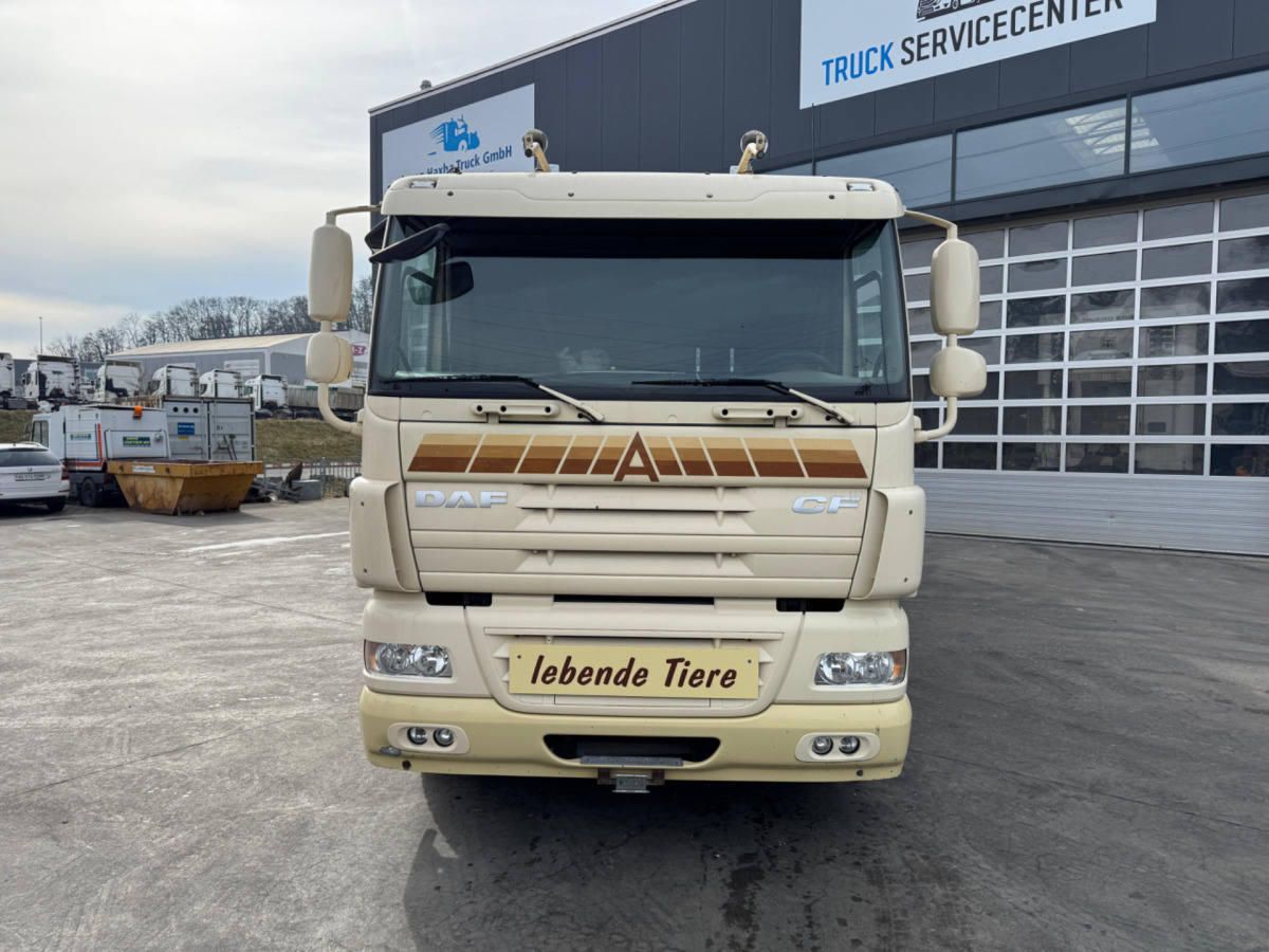 DAF CF410 4x2 - Állatszállító teherautó: 2 kép. DAF CF410 4x2 - Állatszállító teherautó: 2 kép.