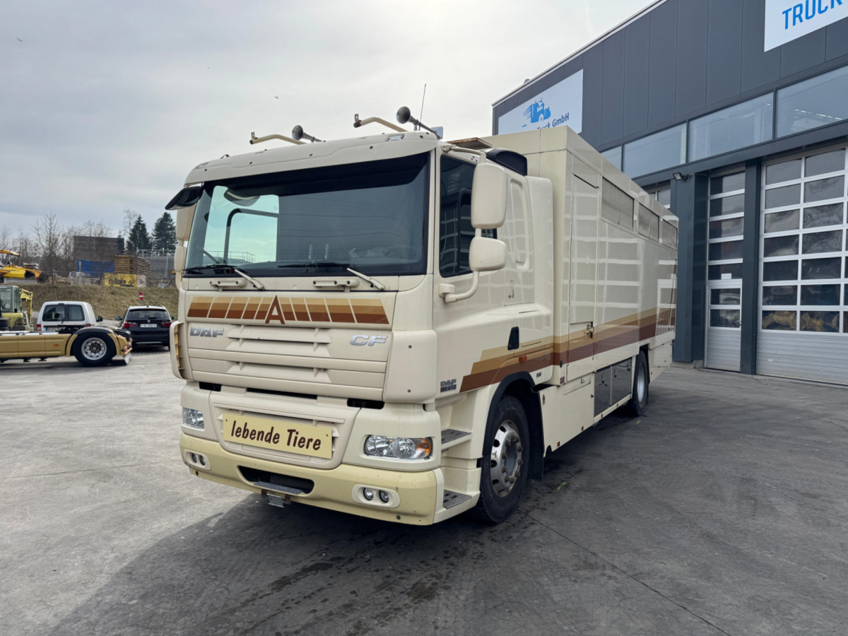 DAF CF410 4x2 - Állatszállító teherautó: 1 kép. DAF CF410 4x2 - Állatszállító teherautó: 1 kép.