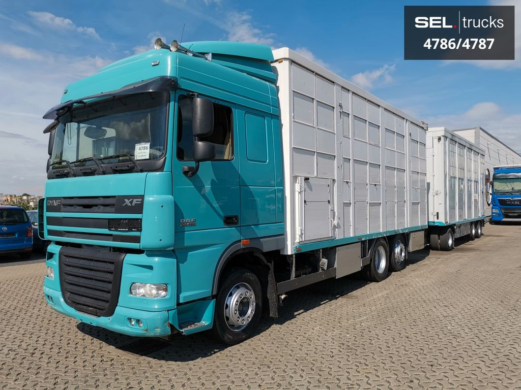 DAF XF 105.460 / Intarder / 4 Stock / KOMPLETT ! DAF XF 105.460 / Intarder / 4 Stock / KOMPLETT ! - Állatszállító teherautó: 2 kép. DAF XF 105.460 / Intarder / 4 Stock / KOMPLETT ! DAF XF 105.460 / Intarder / 4 Stock / KOMPLETT ! - Állatszállító teherautó: 2 kép.