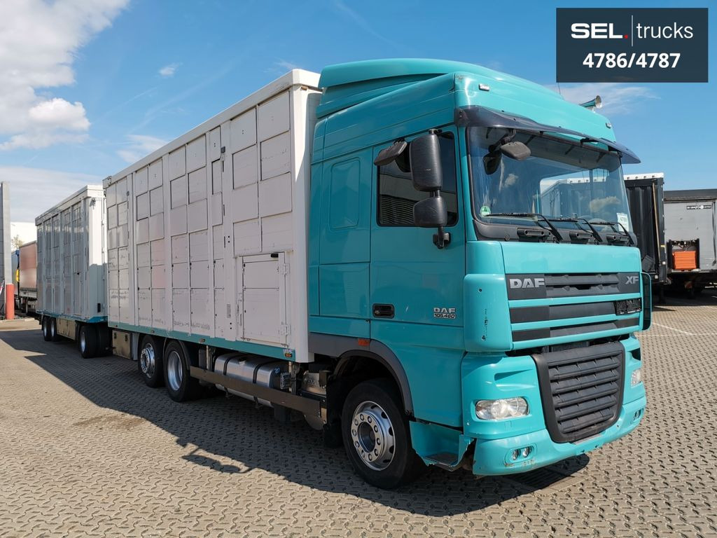 DAF XF 105.460 / Intarder / 4 Stock / KOMPLETT ! - Állatszállító teherautó: 4 kép. DAF XF 105.460 / Intarder / 4 Stock / KOMPLETT ! - Állatszállító teherautó: 4 kép.