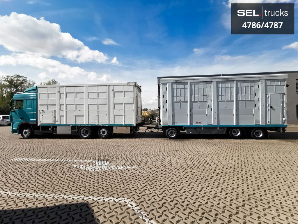 DAF XF 105.460 / Intarder / 4 Stock / KOMPLETT ! - Állatszállító teherautó: 1 kép. DAF XF 105.460 / Intarder / 4 Stock / KOMPLETT ! - Állatszállító teherautó: 1 kép.