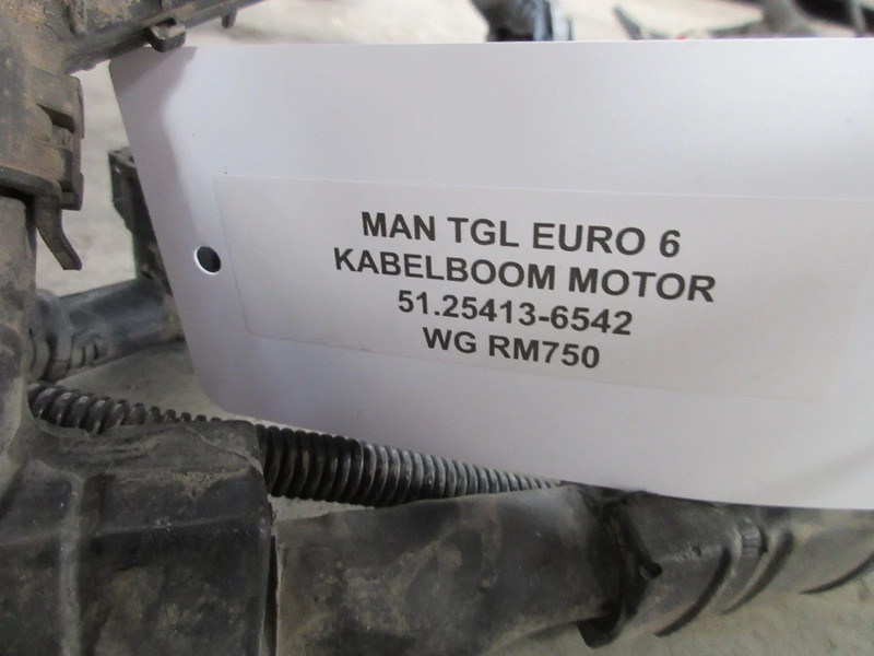 MAN 51.25413-6542 KABELBOOM MAN TGL TGM EURO 6 - Elektromos rendszer - Teherautó: 3 kép. MAN 51.25413-6542 KABELBOOM MAN TGL TGM EURO 6 - Elektromos rendszer - Teherautó: 3 kép.