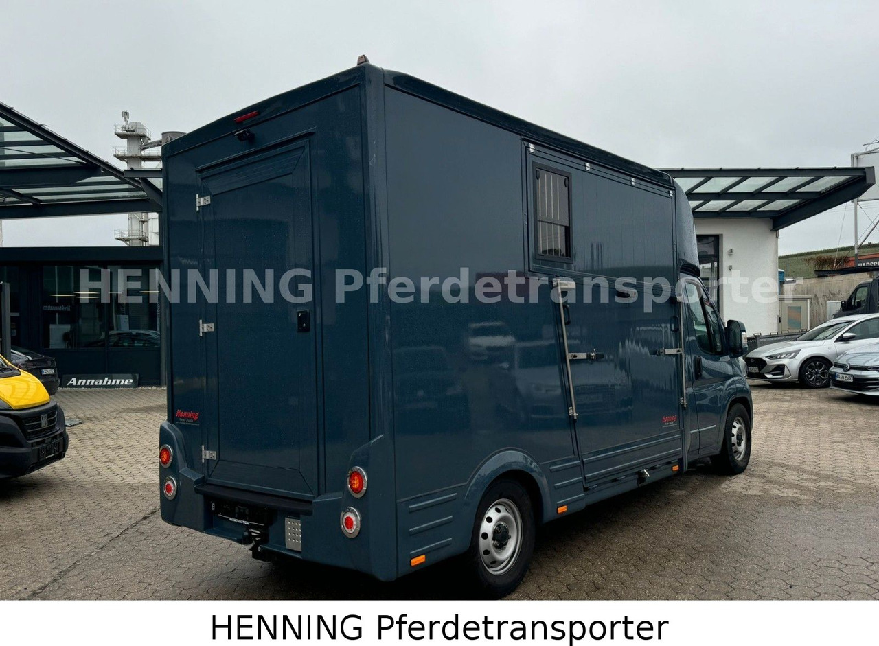 Fiat Ducato *AUTOMATIK* 3 - Sitzer - Állatszállító teherautó: 3 kép. Fiat Ducato *AUTOMATIK* 3 - Sitzer - Állatszállító teherautó: 3 kép.