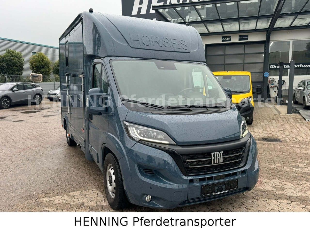 Fiat Ducato *AUTOMATIK* 3 - Sitzer - Állatszállító teherautó: 2 kép. Fiat Ducato *AUTOMATIK* 3 - Sitzer - Állatszállító teherautó: 2 kép.
