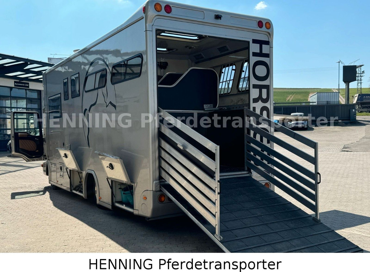 MAN TGL PFERDETRANSPORTER RJH - Állatszállító teherautó: 5 kép. MAN TGL PFERDETRANSPORTER RJH - Állatszállító teherautó: 5 kép.