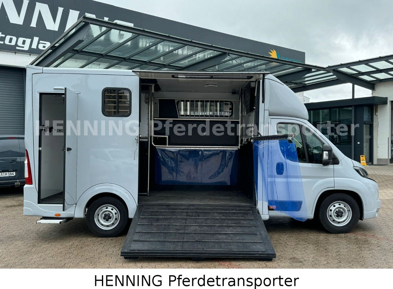 Peugeot Boxer 3 - Sitzer *GROSSE SATTELKAMMER* - Állatszállító teherautó: 5 kép. Peugeot Boxer 3 - Sitzer *GROSSE SATTELKAMMER* - Állatszállító teherautó: 5 kép.