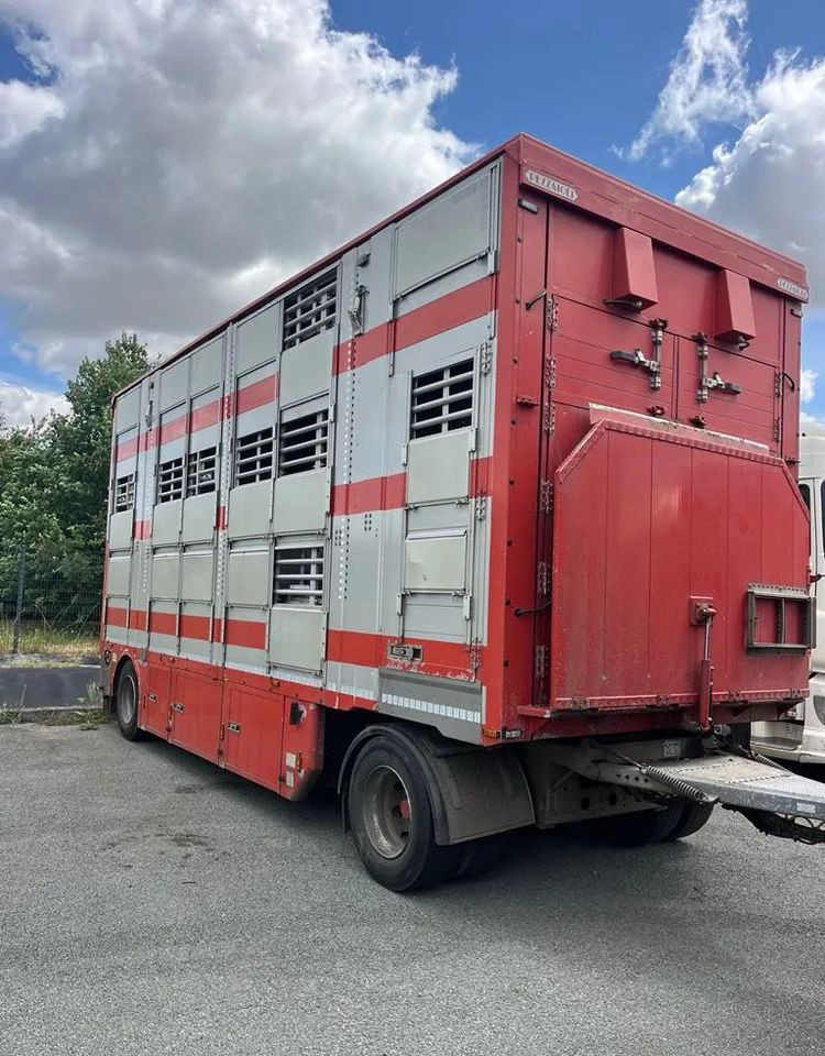 DAF XF 530 + Przyczepa Pezzaoli - 3X Trzoda, 2 X Bydło I 3 poziomy I Podnoszony dach I Hydroburta I Osie Skrętne I Poidła I Wentylatory I Pilot Manualny | - Állatszállító teherautó: 4 kép. DAF XF 530 + Przyczepa Pezzaoli - 3X Trzoda, 2 X Bydło I 3 poziomy I Podnoszony dach I Hydroburta I Osie Skrętne I Poidła I Wentylatory I Pilot Manualny | - Állatszállító teherautó: 4 kép.