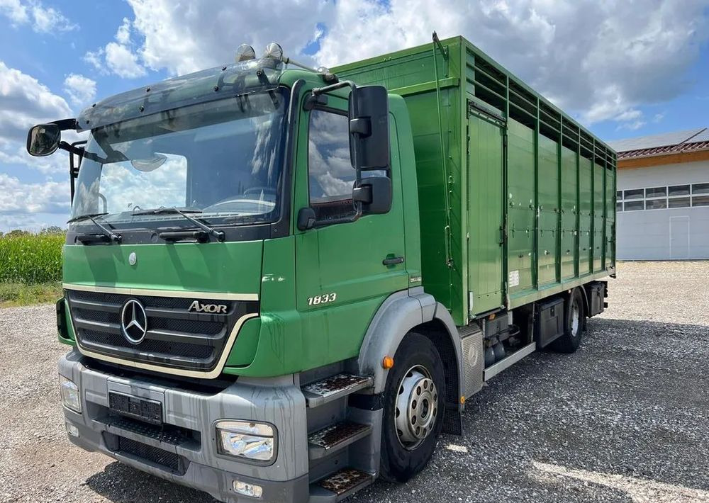 Mercedes-Benz Axor 1833 6x2 | Samochód do transportu bydła | 2009 | 450 000 km - Állatszállító teherautó: 1 kép. Mercedes-Benz Axor 1833 6x2 | Samochód do transportu bydła | 2009 | 450 000 km - Állatszállító teherautó: 1 kép.