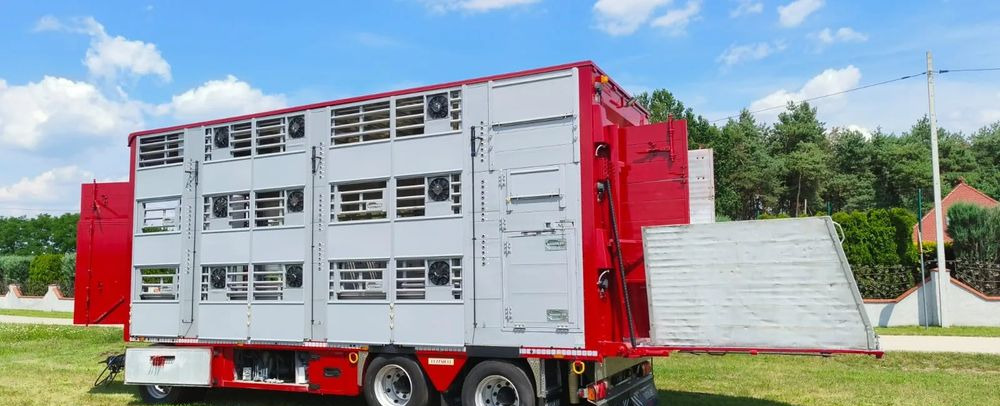 Pezzaioli RBA 32/TRZYOSIOWA PRZYCZEPA-2XBYDŁO,3X TRZODA/HYDRAULICZNIE PODNOSZONY DACH I PODŁOGI / OŚ ŚRODKOWA PODNOSZONA - Pótkocsi állatszállító: 2 kép. Pezzaioli RBA 32/TRZYOSIOWA PRZYCZEPA-2XBYDŁO,3X TRZODA/HYDRAULICZNIE PODNOSZONY DACH I PODŁOGI / OŚ ŚRODKOWA PODNOSZONA - Pótkocsi állatszállító: 2 kép.