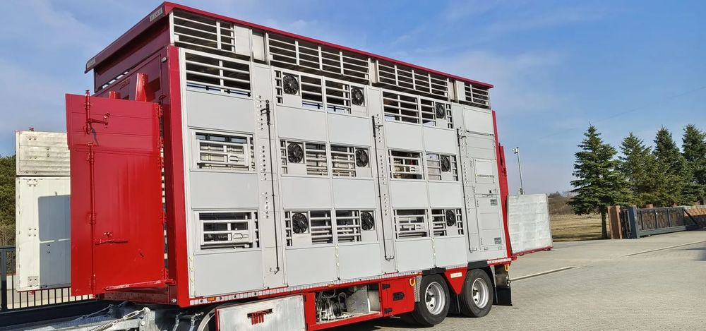 Pezzaioli RBA 32/TRZYOSIOWA PRZYCZEPA-2XBYDŁO,3X TRZODA - Pótkocsi állatszállító: 3 kép. Pezzaioli RBA 32/TRZYOSIOWA PRZYCZEPA-2XBYDŁO,3X TRZODA - Pótkocsi állatszállító: 3 kép.