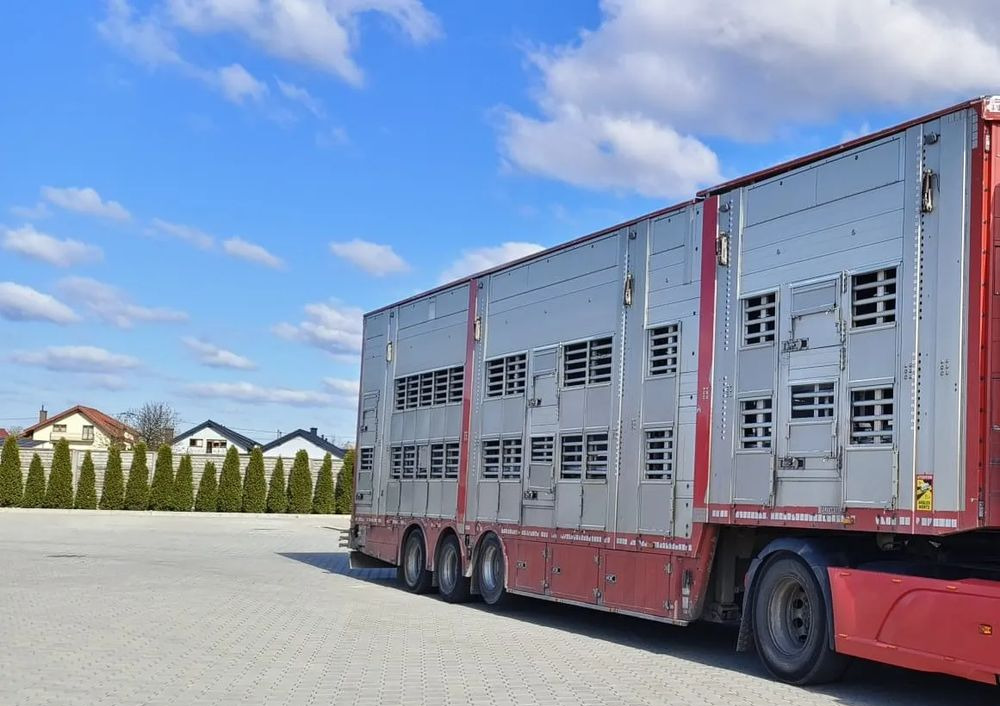Pezzaioli SBA32/hydrauliczny dach/hydrauliczna rampa/ 3 poziomy/ 2xbydło -3xtrzoda/wentylatory/poidła/sterowanie pilotem - Félpótkocsi állatszállító: 1 kép. Pezzaioli SBA32/hydrauliczny dach/hydrauliczna rampa/ 3 poziomy/ 2xbydło -3xtrzoda/wentylatory/poidła/sterowanie pilotem - Félpótkocsi állatszállító: 1 kép.