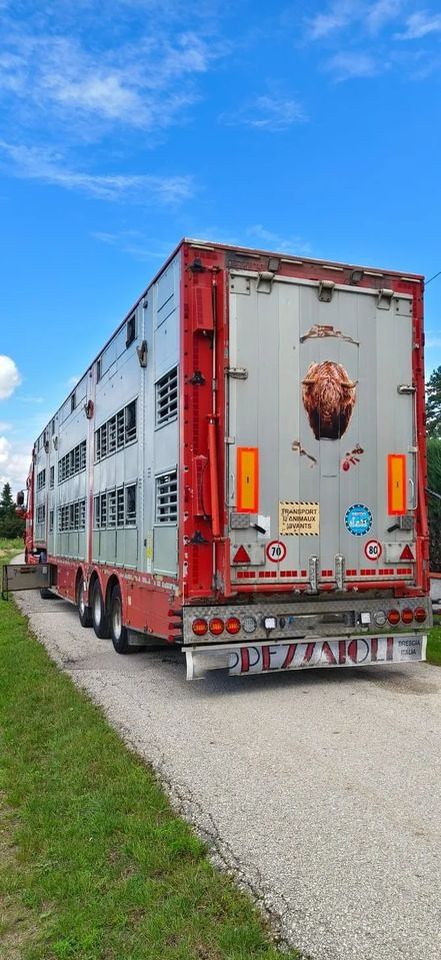 Pezzaioli SBA32/hydrauliczny dach/hydrauliczna rampa/ 3 poziomy/ 2xbydło -3xtrzoda/wentylatory/poidła/sterowanie pilotem - Félpótkocsi állatszállító: 5 kép. Pezzaioli SBA32/hydrauliczny dach/hydrauliczna rampa/ 3 poziomy/ 2xbydło -3xtrzoda/wentylatory/poidła/sterowanie pilotem - Félpótkocsi állatszállító: 5 kép.