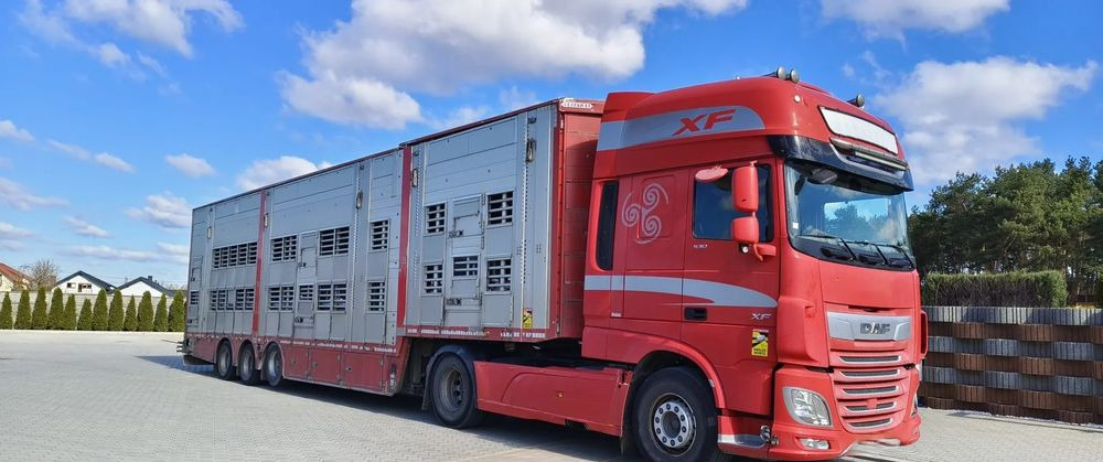 Pezzaioli SBA32/hydrauliczny dach/hydrauliczna rampa/ 3 poziomy/ 2xbydło -3xtrzoda/wentylatory/poidła/sterowanie pilotem - Félpótkocsi állatszállító: 2 kép. Pezzaioli SBA32/hydrauliczny dach/hydrauliczna rampa/ 3 poziomy/ 2xbydło -3xtrzoda/wentylatory/poidła/sterowanie pilotem - Félpótkocsi állatszállító: 2 kép.