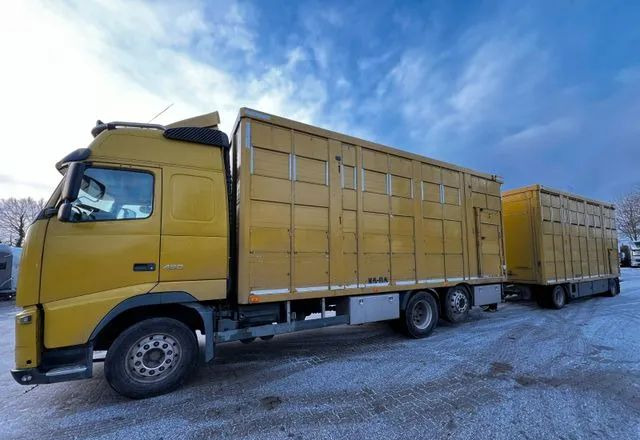 Volvo FH 420 • KABA • Transport Zwierząt 3xŚwinie/ 2xBydło 3-piętrowy • Euro 5 • Retarder • Oś podnoszona i skrętna - Állatszállító teherautó: 1 kép. Volvo FH 420 • KABA • Transport Zwierząt 3xŚwinie/ 2xBydło 3-piętrowy • Euro 5 • Retarder • Oś podnoszona i skrętna - Állatszállító teherautó: 1 kép.